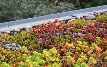 the cost of Thurlton green roof installation