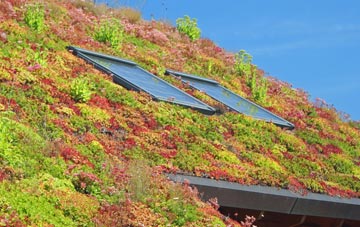 Thurlton living roof systems